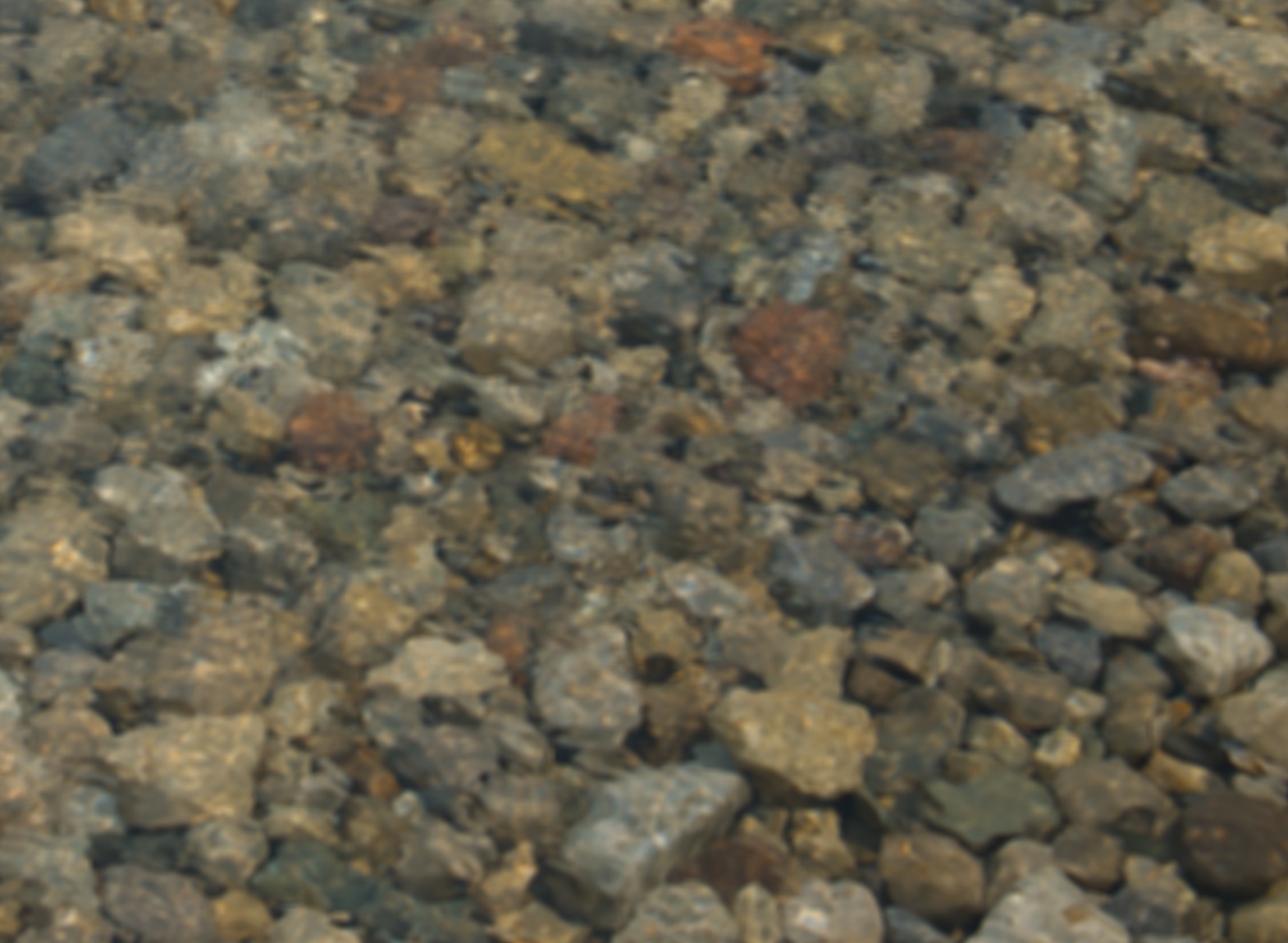 Scandinavian Shooting Heads
for
Great Lakes Steelhead
